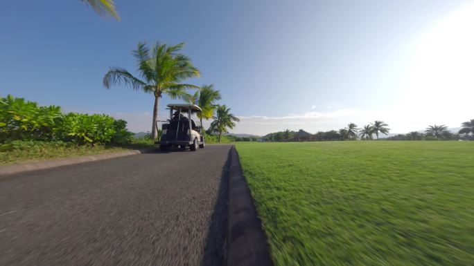 穿越机 高尔夫 草坪 椰子树  车跟 车