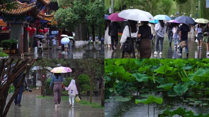 雨季翠湖赏荷花的游客