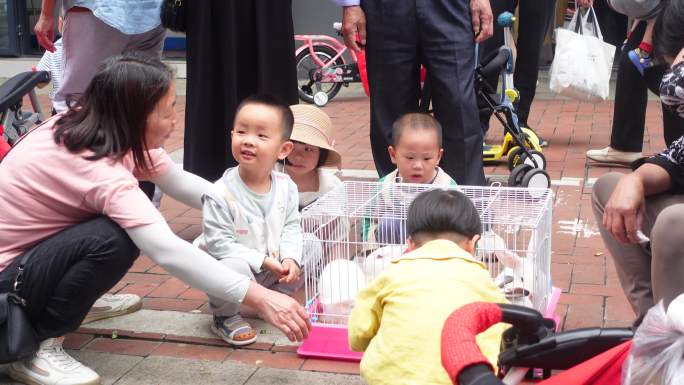 奶奶带孙子围观兔子