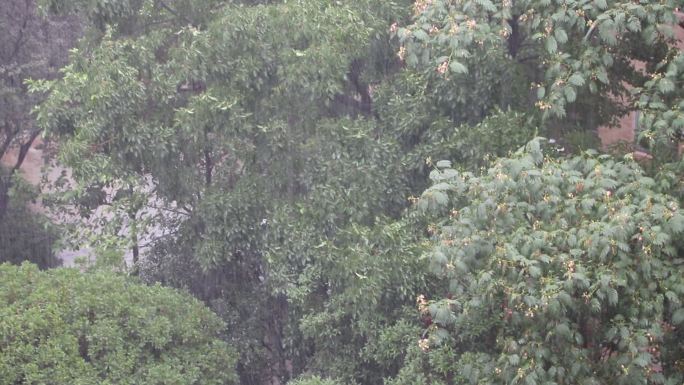 大雨 暴雨 雷阵雨