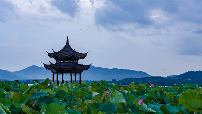 集贤亭荷池日转夜延时