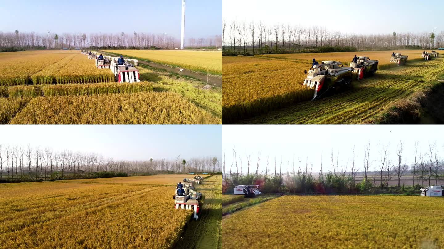 航拍五台收割机收割水稻