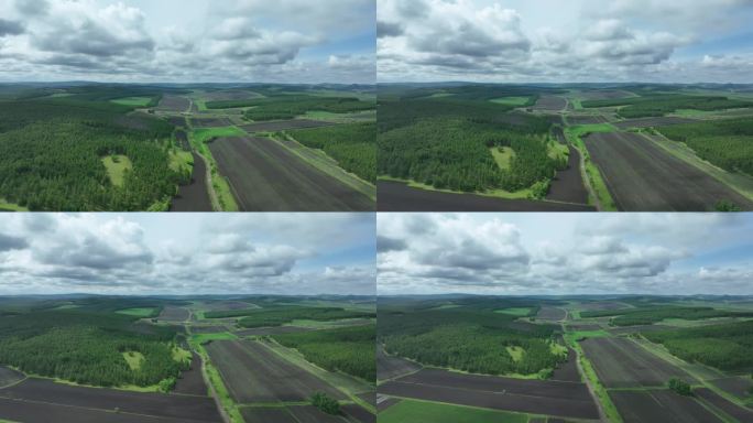 航拍林区林间耕地农田