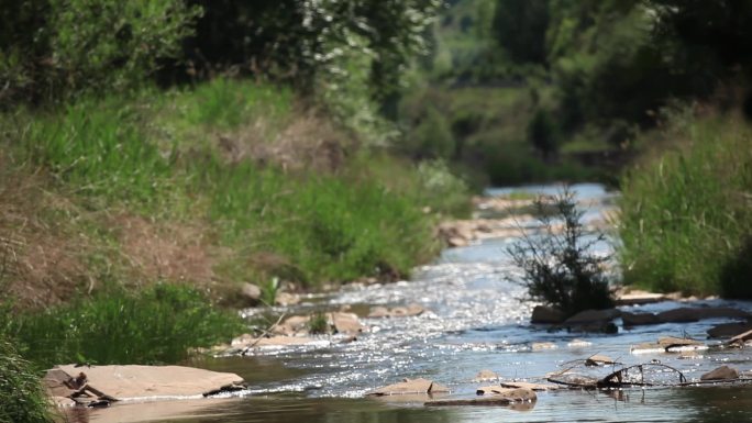 延时摄影 流云 小河流水 白云飘动 树林