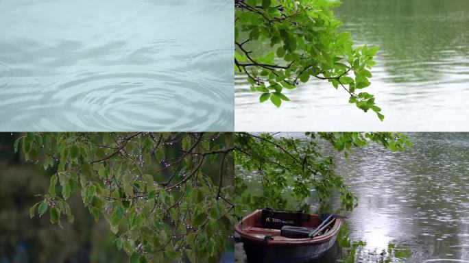 雨天湖面的树叶雨滴