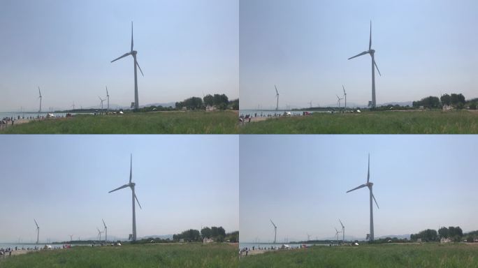 湖边 绿地 风能 风车