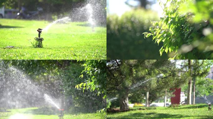 植物水浇灌系统