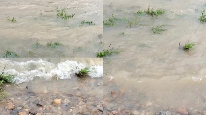 水浸野草江水涨潮河水上涨水波浪风吹波浪