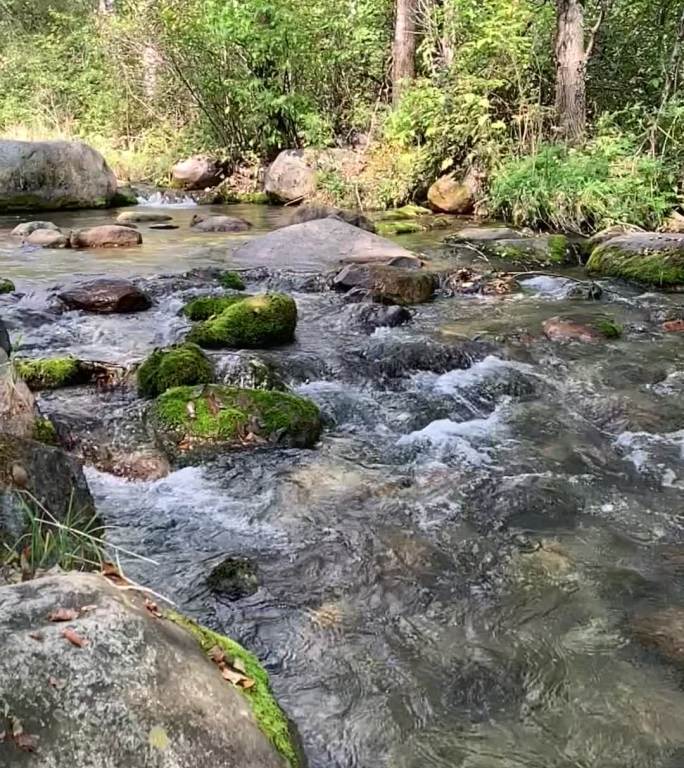 山涧清澈小溪夏日清凉 竖版升格