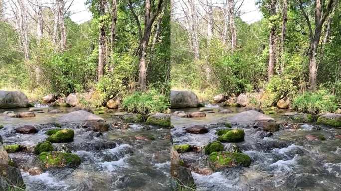 山涧清澈小溪夏日清凉 竖版升格