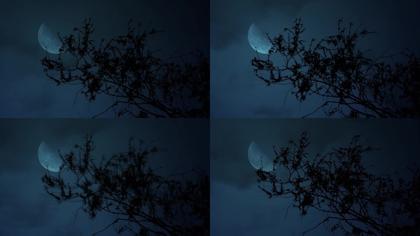月上柳梢头-半月