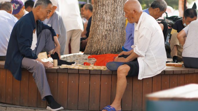 （合辑）退休老干部老头下象棋