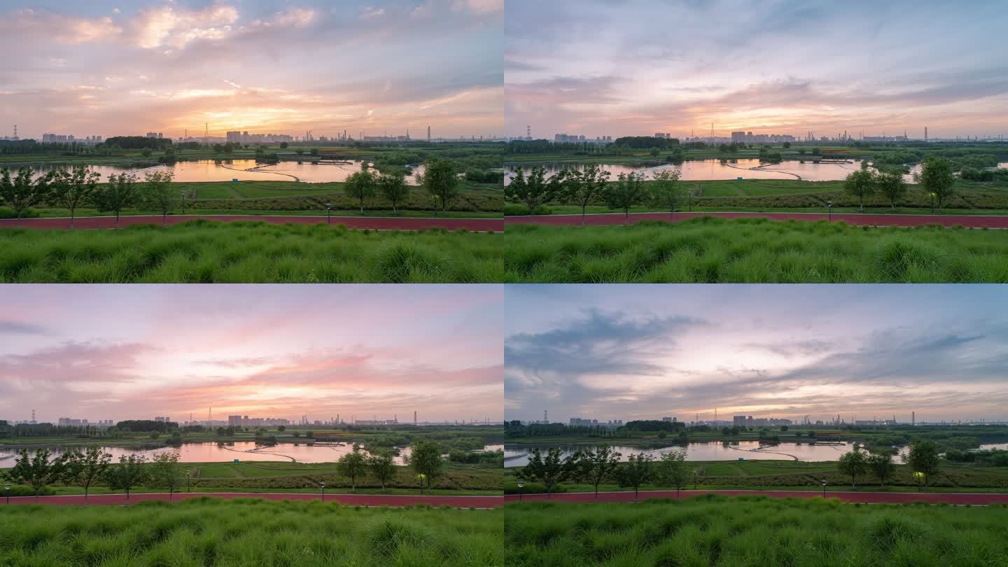 西咸新区咸阳渭河湿地公园4k延时