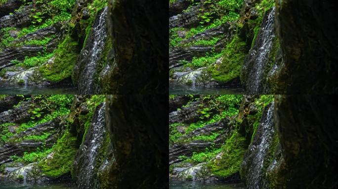 瀑布小溪河流山泉水森林自然大自然水