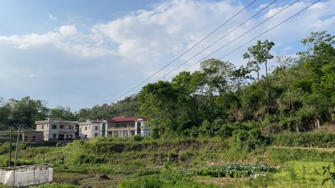 农村写实风景