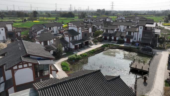 川西民居新农村春天田园风光