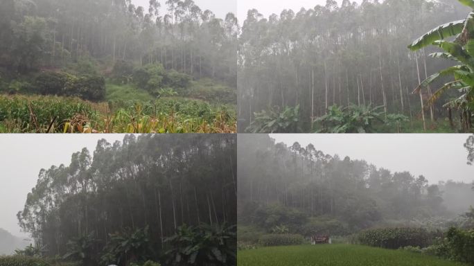 山村暴雨倾盆大雨雷声雷声山林雨天农村下雨