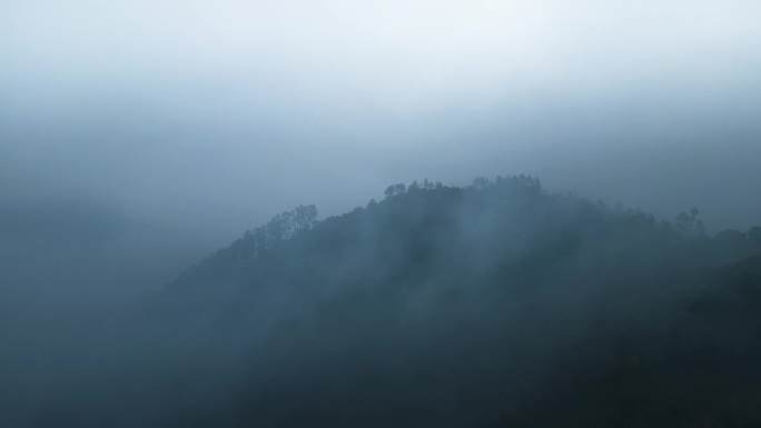 乡下清晨大雾氛围感合集4K