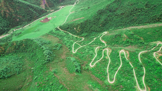 青海海东市乐都高山越野盘山公路杜鹃花航拍