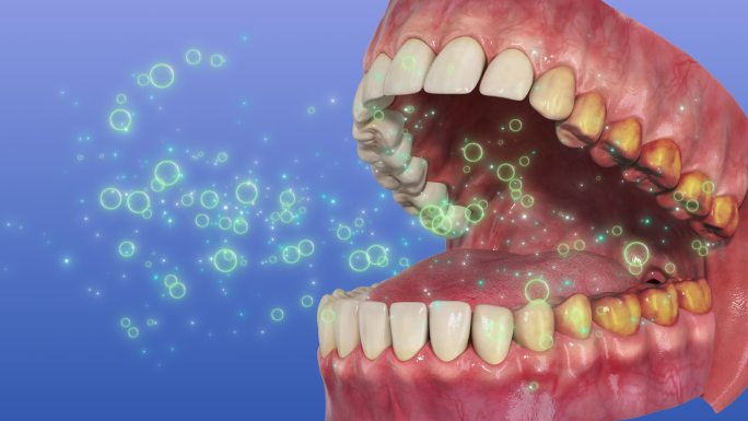 3D牙齿模型口腔清洁黑牙变白清新口气