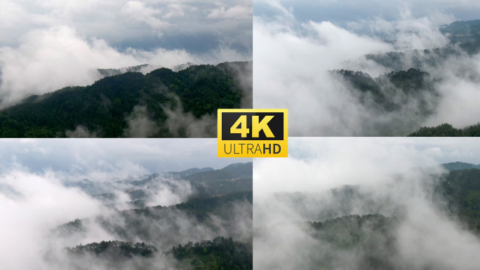 云海 山 雾气 森林 大自然航拍4k