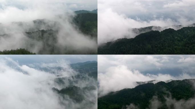 云海 山 雾气 森林 大自然航拍4k