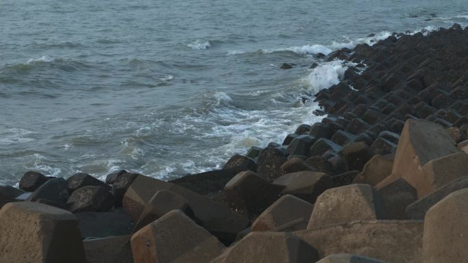 一组拍打礁石海鸥飞翔海浪波光粼粼空镜头