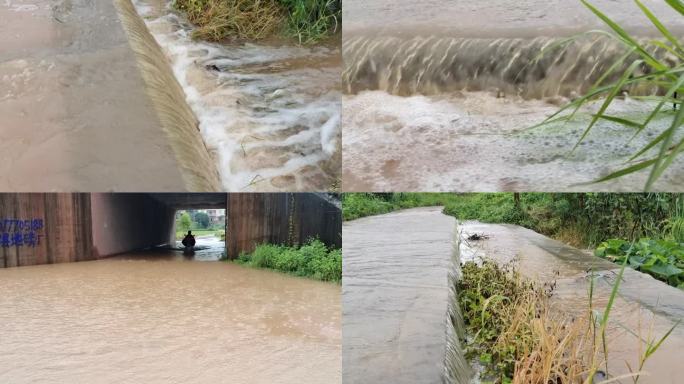 大雨过后汛期水位上涨水灾滔滔洪水泛滥洪涝