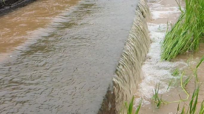 大雨过后汛期水位上涨洪水视频洪水泛滥洪涝