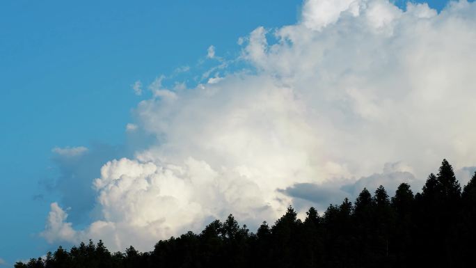 彩虹云朵延时蓝天白云天空树林风景森林风光