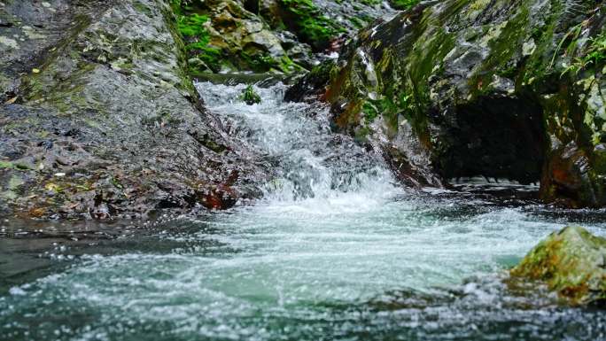 水青苔山泉水流水滴水风景森林自然大自然水