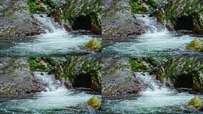 水青苔山泉水流水滴水风景森林自然大自然水