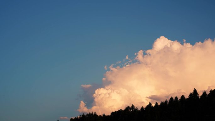 森林黄昏云朵延时晚霞天空云卷云舒唯美风景