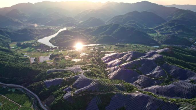 山顶太阳能板 光伏基地