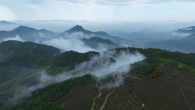 【4k合集】航拍雾气缭绕的群山