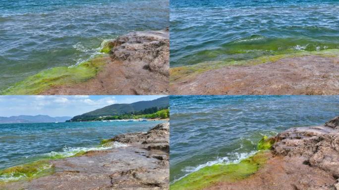 清澈沙滩湖水海水浪花慢动作升格镜头