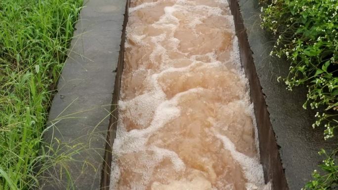 洪水排涝  洪涝 洪灾田埂水渠 洪水泛滥