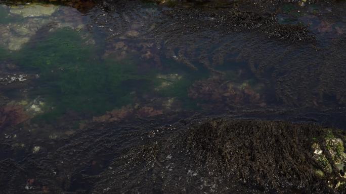 升格拍摄大海海水海面海浪礁石海草