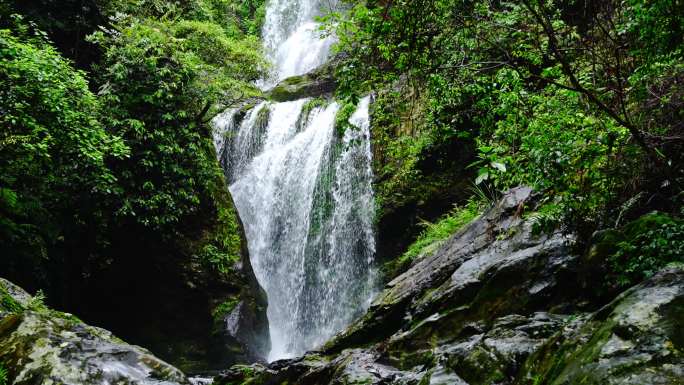 水青苔山泉水流水滴水风景森林自然大自然水