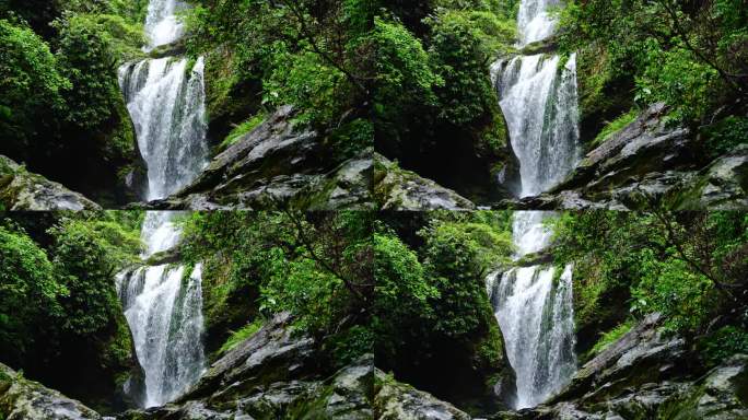 水青苔山泉水流水滴水风景森林自然大自然水