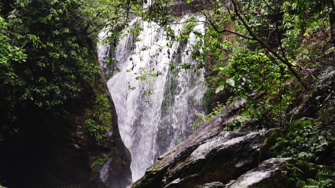 瀑布小溪河流山泉水森林自然大自然水