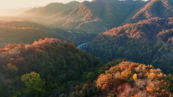 秋景秋色秋季高山红叶自然秋高气爽深秋山林