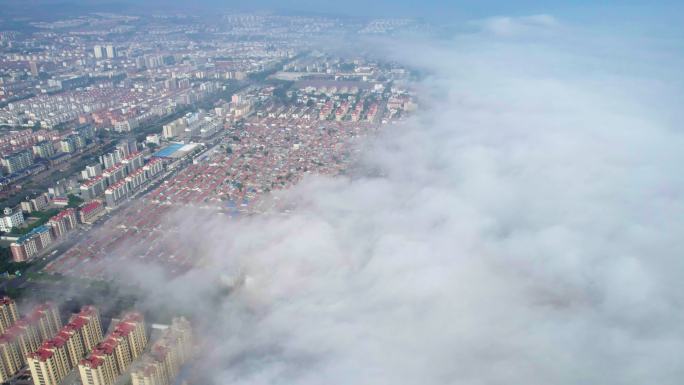 航拍 蓬莱 大雾 城市大雾 平流雾 清晨