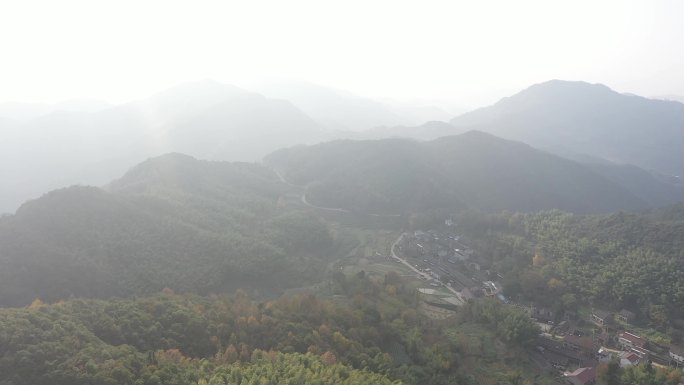 台州三门山林