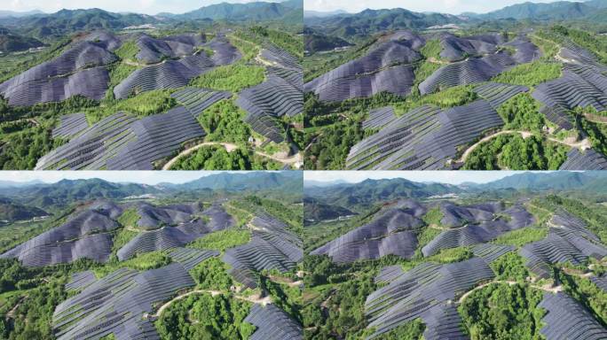 山顶太阳能板 光伏基地