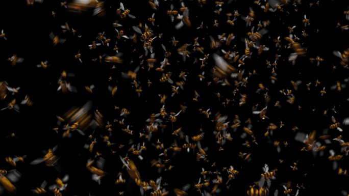 一群蜜蜂飞舞透明通道（Alpha通道）