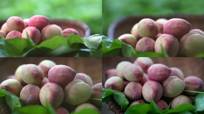 农产品水蜜桃新鲜水果美丽乡村美食桃子4K