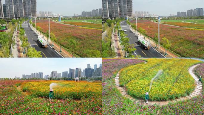 南昌市新建区马兰花海公园航拍