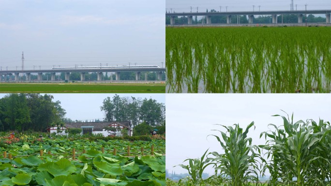 乡村振兴永丰村水稻荷花农田动车四川新农村