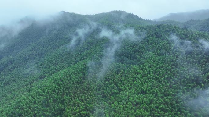 绿色森林云雾航拍4K